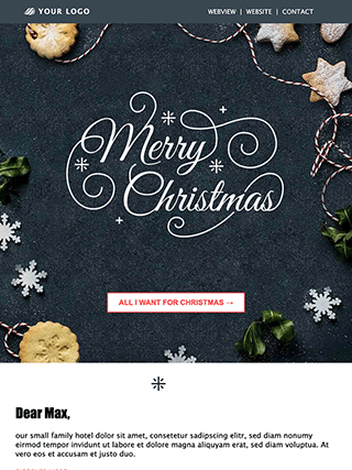 Modelli di newsletter rapidmail per Natale